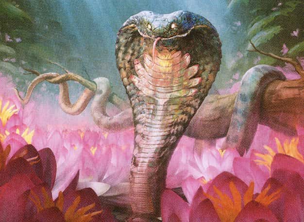 MTG Timeless 5 Color Midrange Deck played by Tayjay Plainswalker - d3b631. Explore the key cards and strategic choices that dominate the current meta.