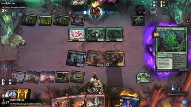 Watch MTG Arena Video Replay - Vial Smasher, Gleeful Grenadier by HamHocks42 VS Nissa, Ascended Animist by Maelphtrom - Standard Brawl