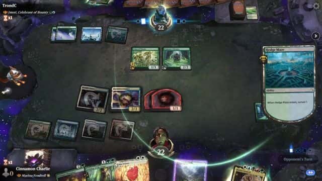 Watch MTG Arena Video Replay - Rogue by Cinnamon Charlie VS Imoti, Celebrant of Bounty by TrondC - Historic Brawl