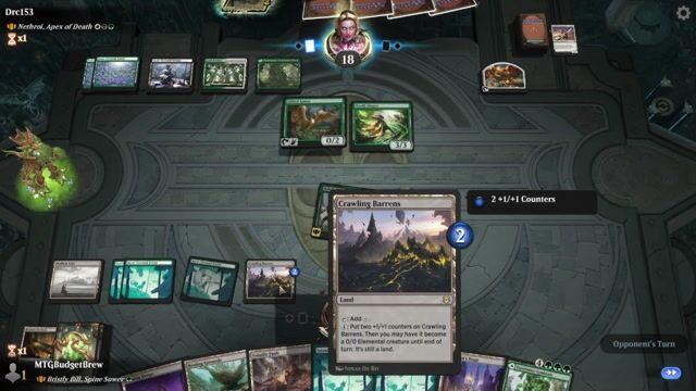 Watch MTG Arena Video Replay - Bristly Bill, Spine Sower by MTGBudgetBrew VS Nethroi, Apex of Death by Drc153 - Historic Brawl