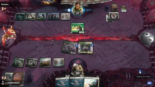 Watch MTG Arena Video Replay - Selesnya Enchantments by HamHocks42 VS Rogue by Nattuex - Standard Play